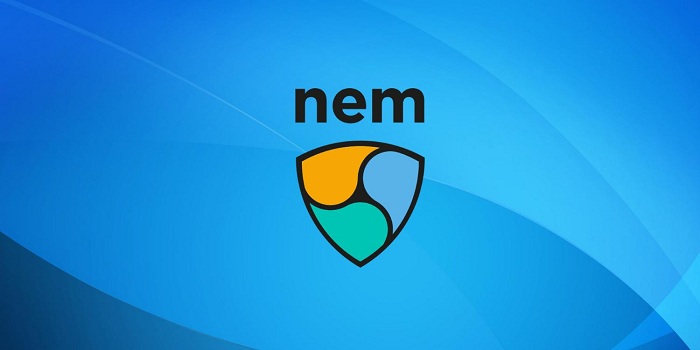 Реструктуризация NEM