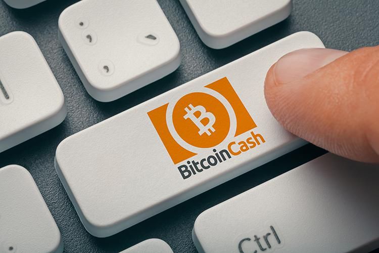 Будущее Bitcoin Cash