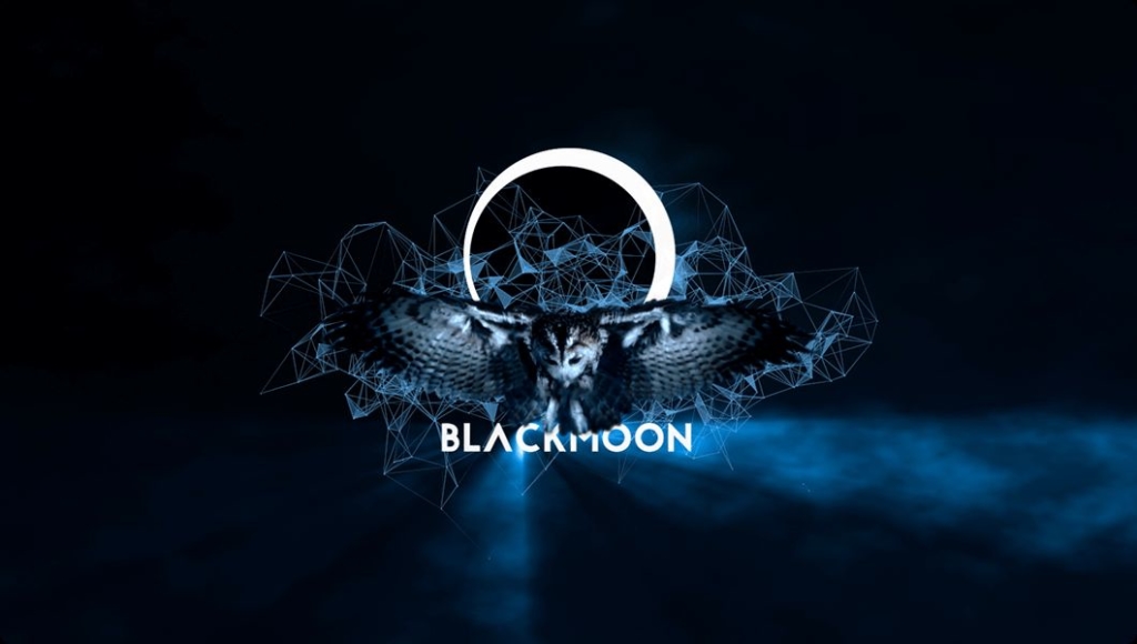 Биржа Blackmoon Crypto закрыта