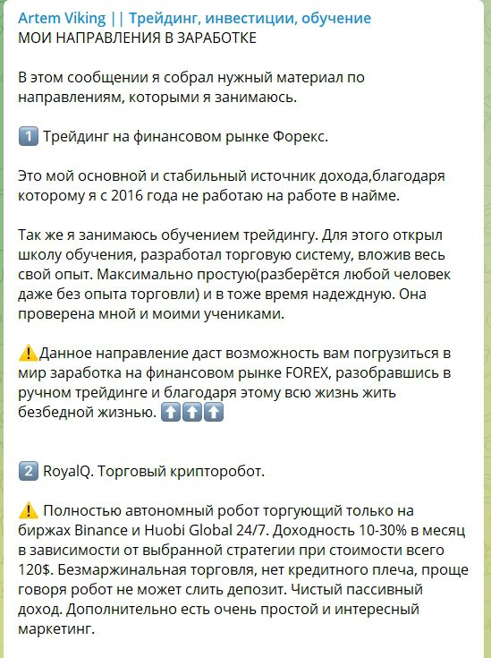 Направления заработка Артема Викинга