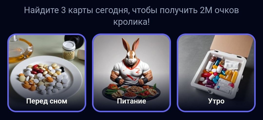 Rocky Rabbit комбо дня