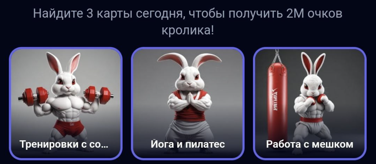 Rocky Rabbit комбо дня