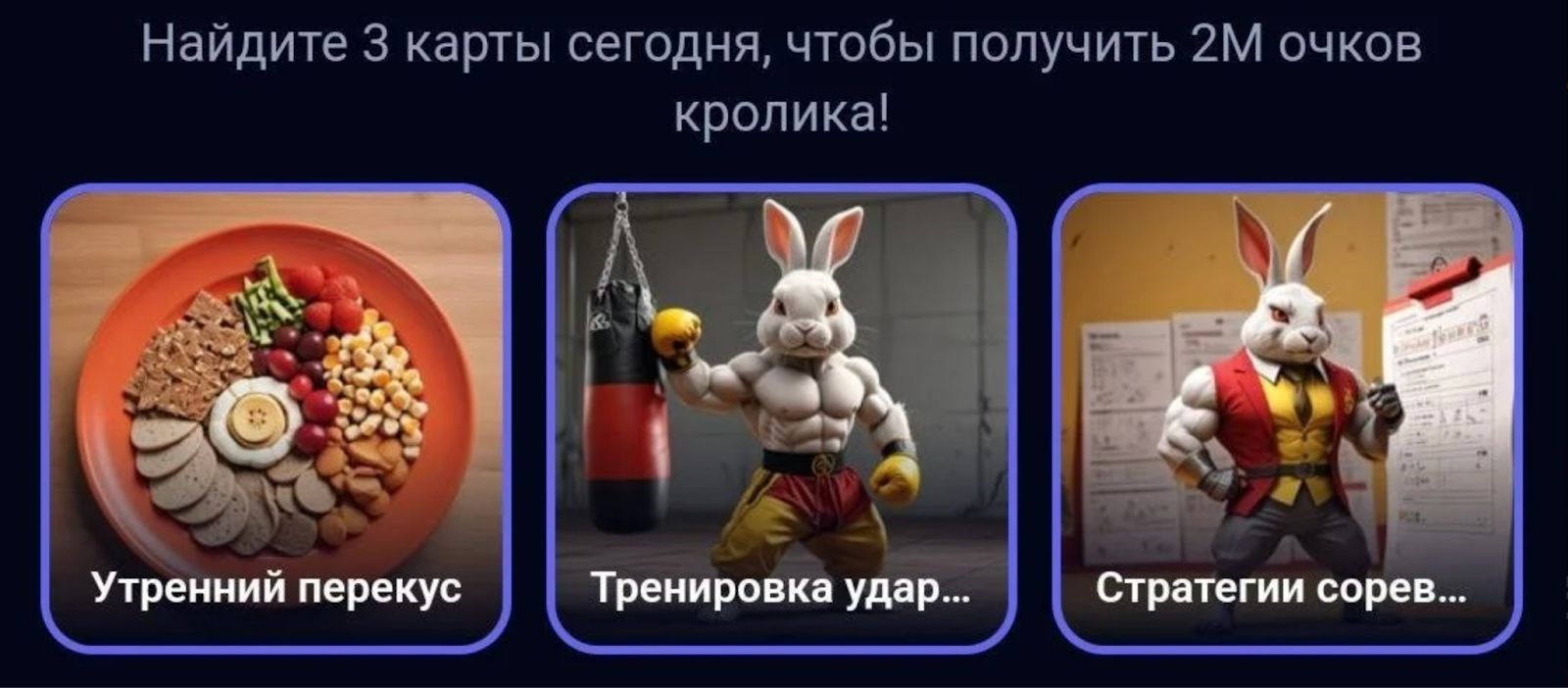 Rocky Rabbit комбо дня