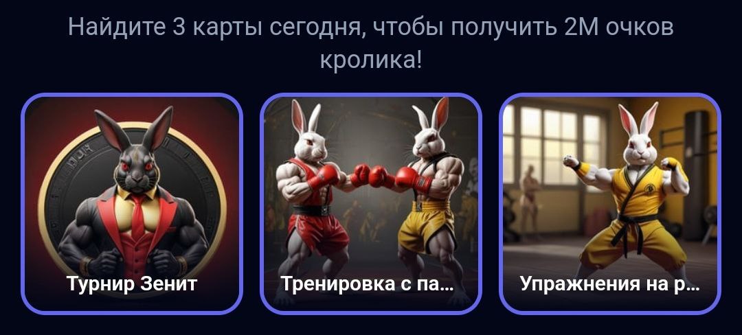 Rocky Rabbit комбо дня