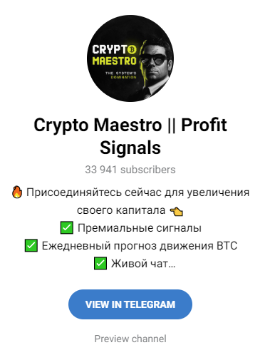 crypto maestro отзывы