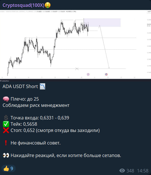 CryptoSquad