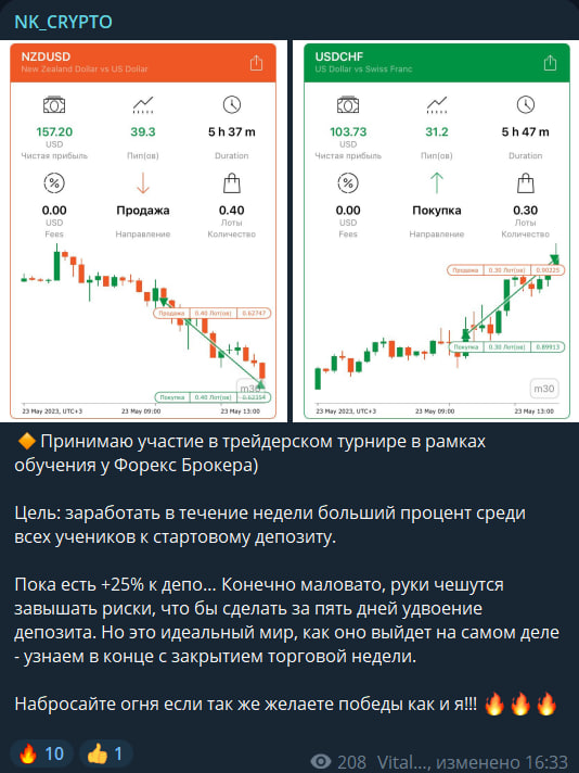 NK Cryptobull