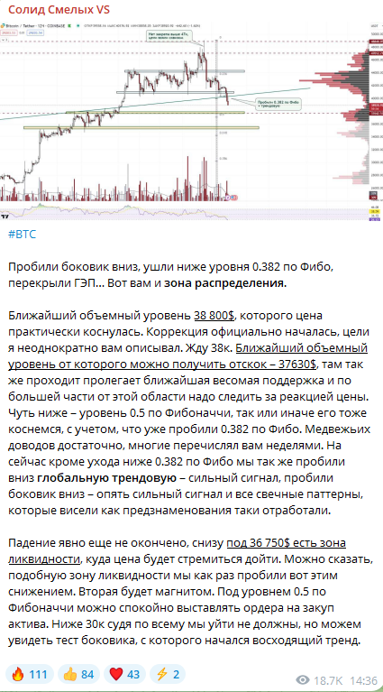 Солид Смелых скам