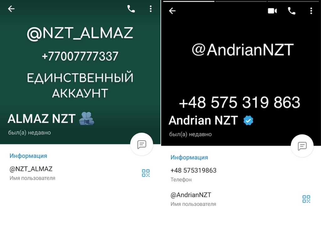 nzt trader education отзывы