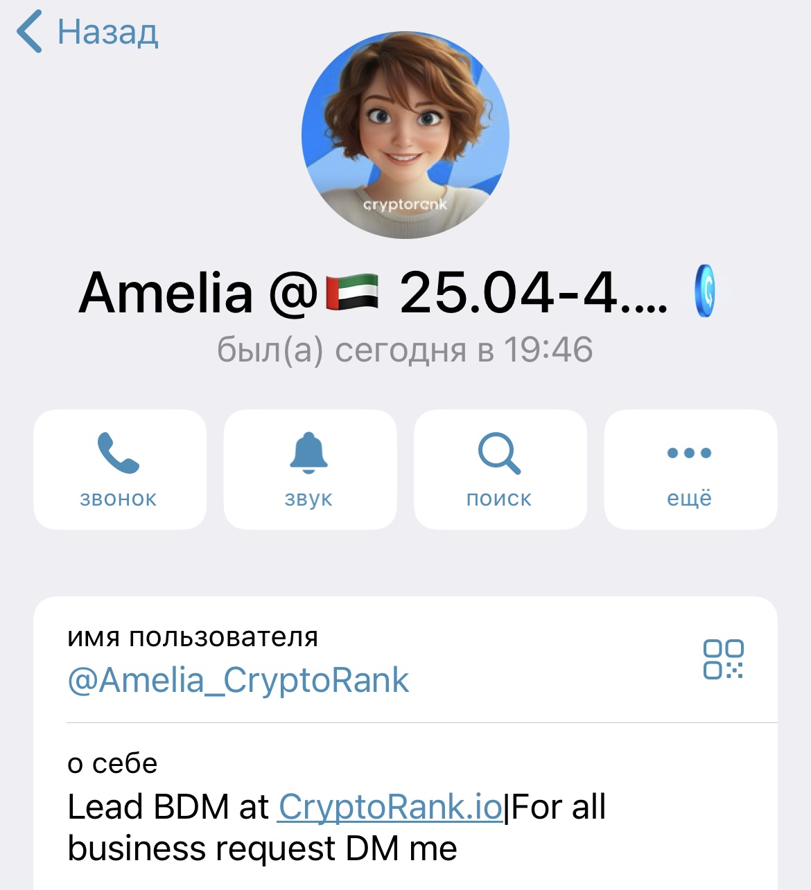 cryptorank app bot