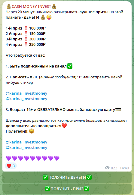 karina investment