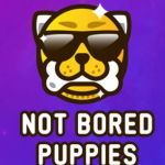 Not Bored Puppies