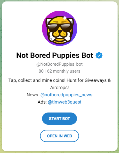 not bored puppies листинг