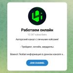 Работаем Онлайн в Telegram – Отзывы о Владимире Павлове @pavlov_pnk
