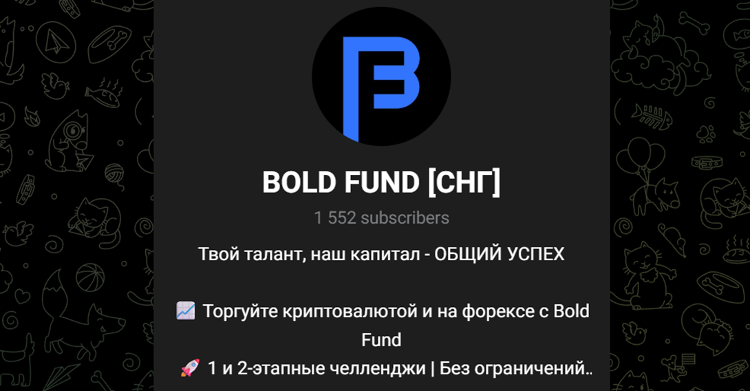 bold fund отзывы