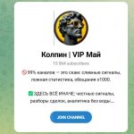 Канал Telegram Колпин | Vip Июнь – Отзывы о Максиме @makskolpin_trader