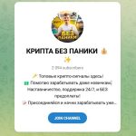 Канал Telegram Крипта Без Паники – Отзывы о Владиславе Profit @vladislav_profit