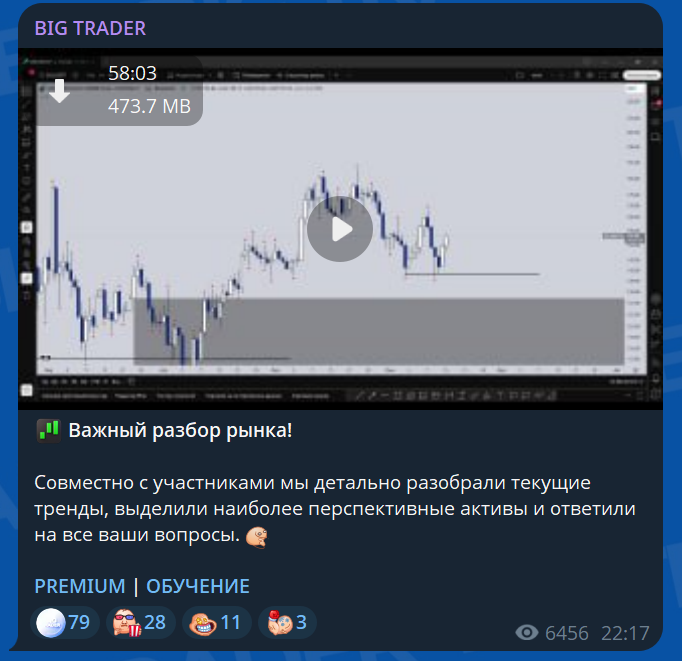 big trader отзывы