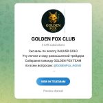 Канал Telegram Golden Fox Club – Реальные Отзывы