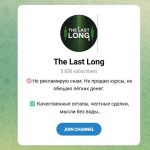 Канал Telegram The Last Long – Отзывы о Трейдере Dima Ceo @dimalongceo