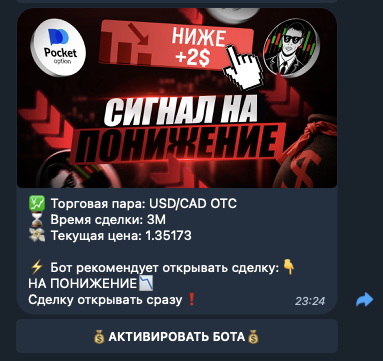 робот pro option plus