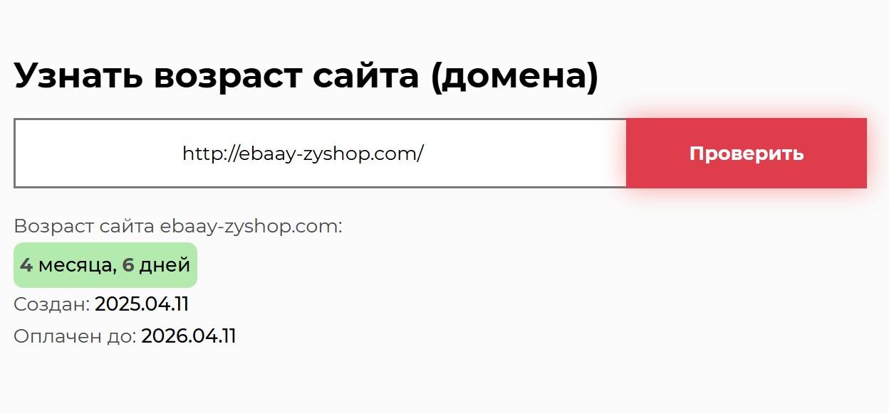 ebaay zyshop com