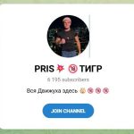 Канал Telegram Pris Тигр – Отзывы об Александре @allpris