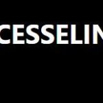 Cesselin