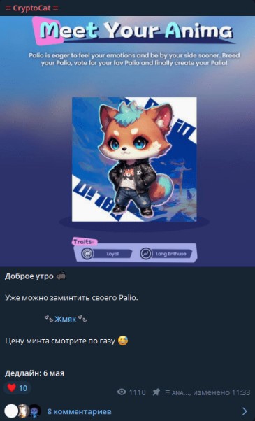 cryptocat отзывы