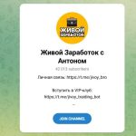 Каналы Youtube и Telegram Живой Заработок с Антоном @jivoy_bro – Реальные Отзывы