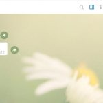 Марк Моисеев | Блог