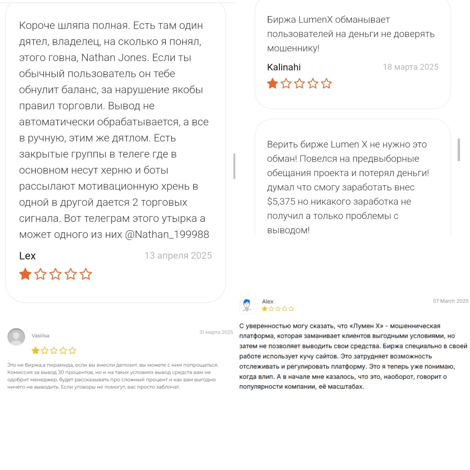 c8 club of lumenx c8 club of lumenx