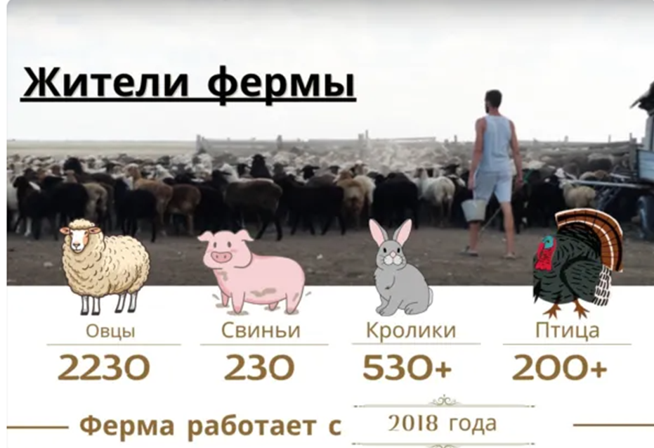 кирилл яровой волжский мошенник кирилл яровой волжский мошенник