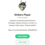 Strikers Player