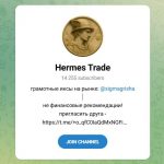 Канал Telegram Hermes Trade – Отзывы о Гришане Гермесе @sigmagrisha