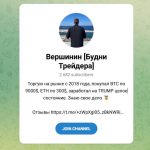 Канал Telegram Вершинин [будни Трейдера] – Отзывы об Александре @alex_tradex