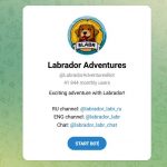 Бот Telegram Labrador Adventures – Отзывы об Игре Приключения Лабрадора