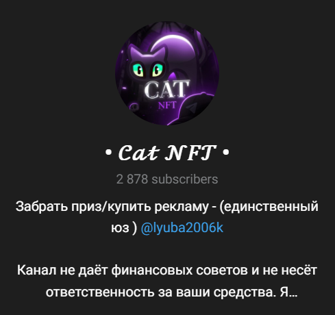 отзывы о канале cat nft условия розыгрышей