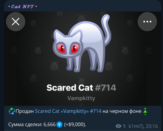 отзывы о канале cat nft условия розыгрышей