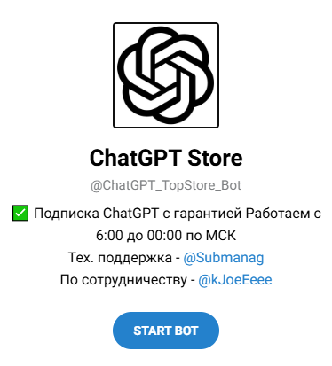 chatgpt topstore bot