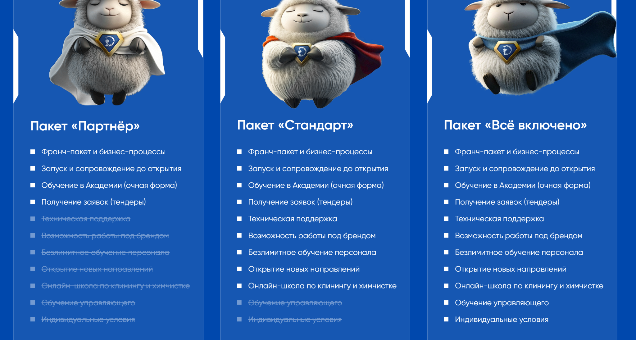 Dream Group франшиза
