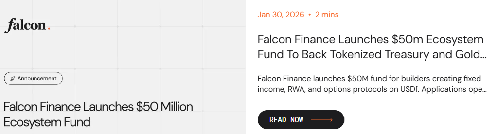 falcon finance tg