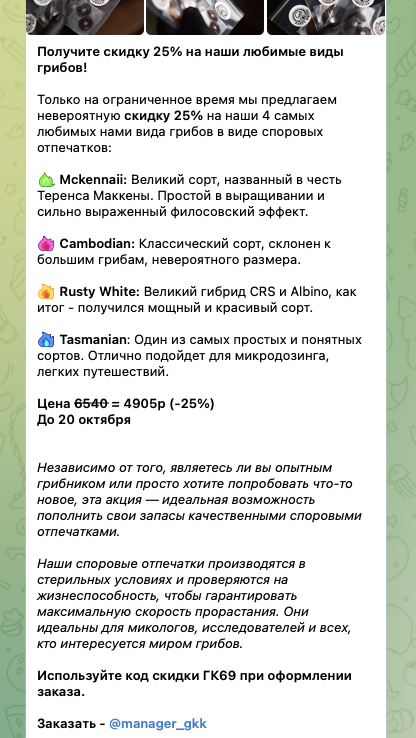 грибная культура грибная культура