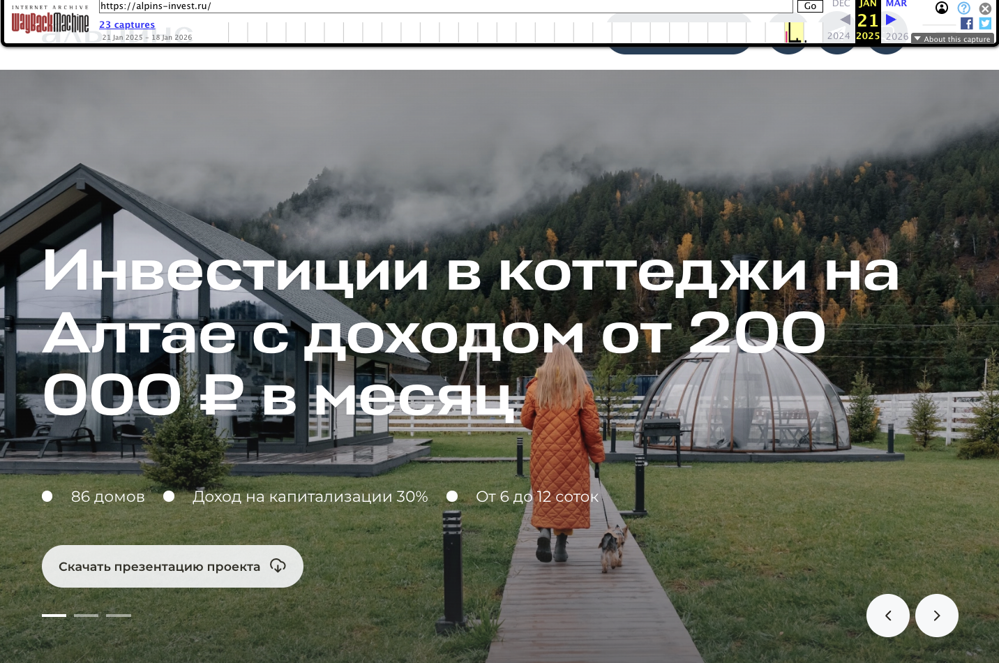 отзывы о альпинс инвест