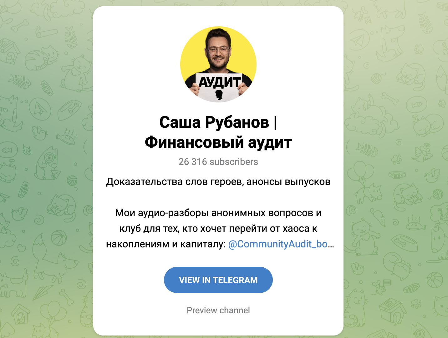 саша рубанов финансовый аудит