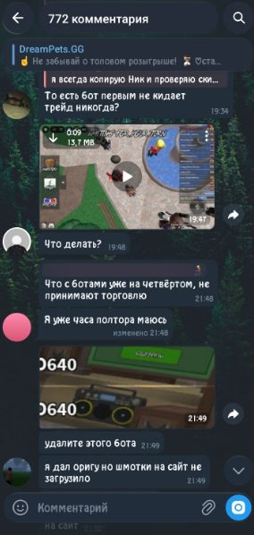 dream pets gg отзывы