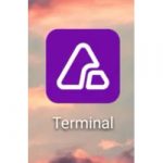 Инвестиции Terminal