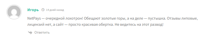 netpays net