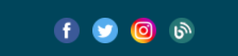 testbirds com