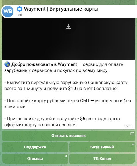 wayment net